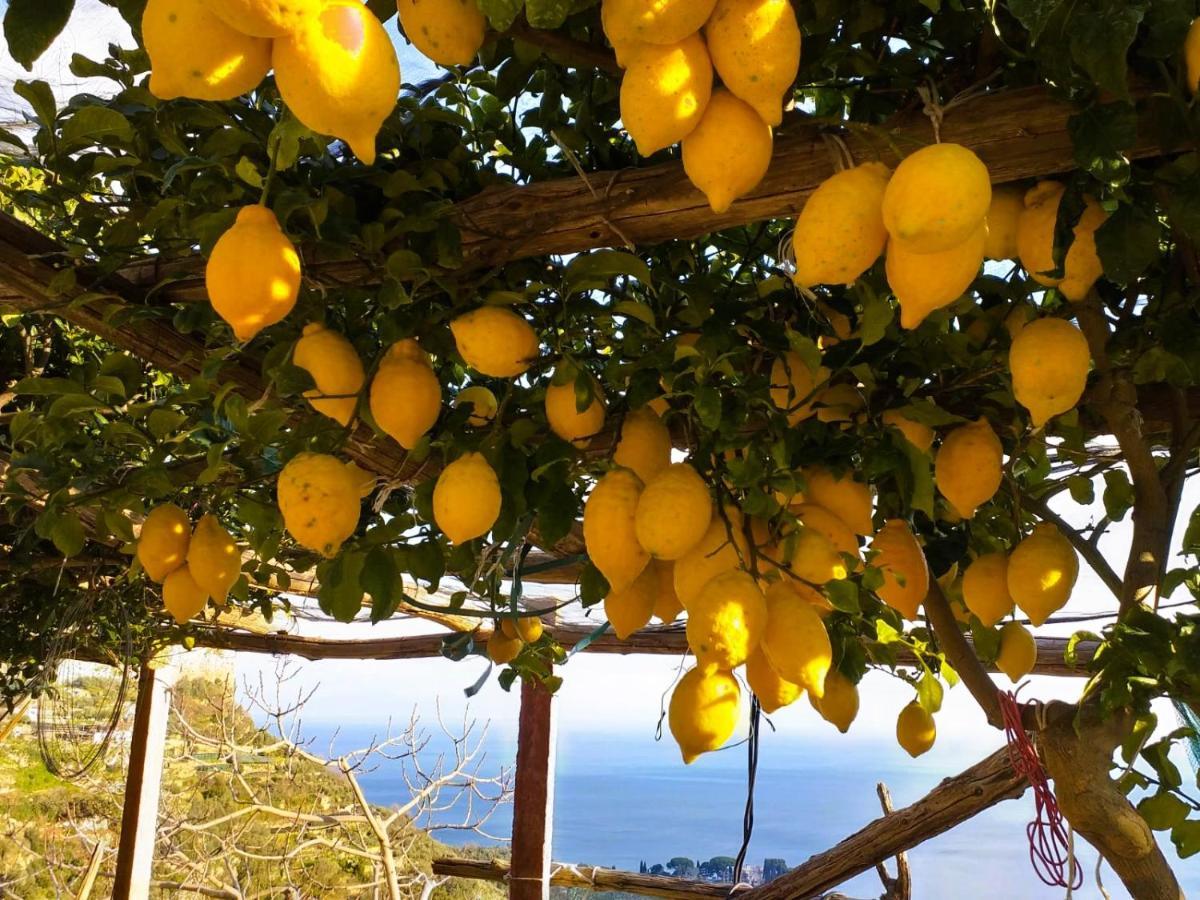 Amalfi Sea View Villa สกาลา ภายนอก รูปภาพ